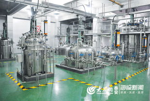 泰山區(qū)全方位構(gòu)建醫(yī)養(yǎng)結(jié)合服務(wù)模式