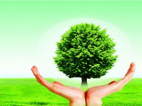 康加凈除甲醛產品展示 產品相冊 品牌詳情