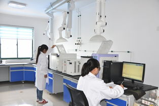 攜環(huán)保與經濟共達彼岸 安慶新媒體經濟行走進安慶鑫祥瑞環(huán)保科技